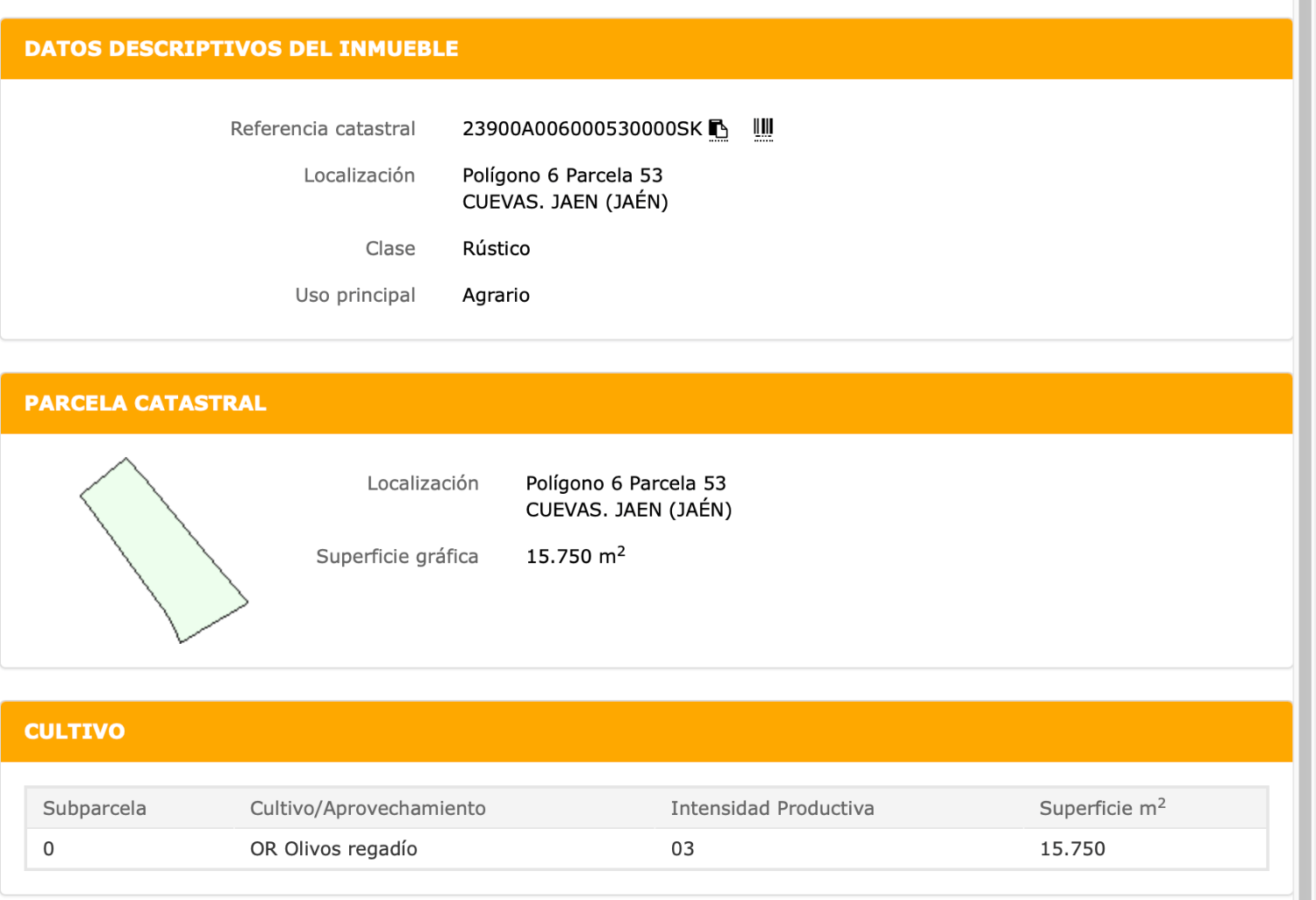 Olivar llano en producción a un paso de Jaén capital – 166 olivos con subvención activa