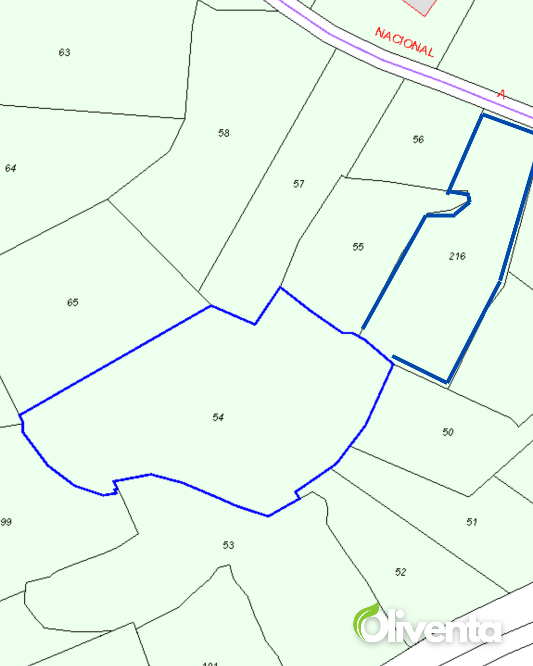 Olivar de 21.000 m² con 195 olivos y subvención en Torredonjimeno