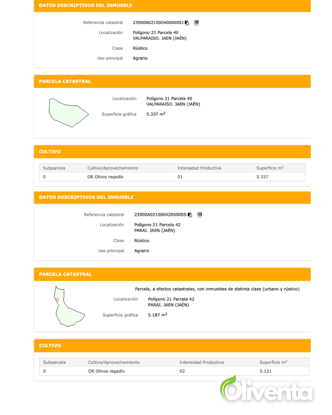 Dos olivares únicos con casa y pozo a 2min de Jaén capital ( Subvención de 2500€ )