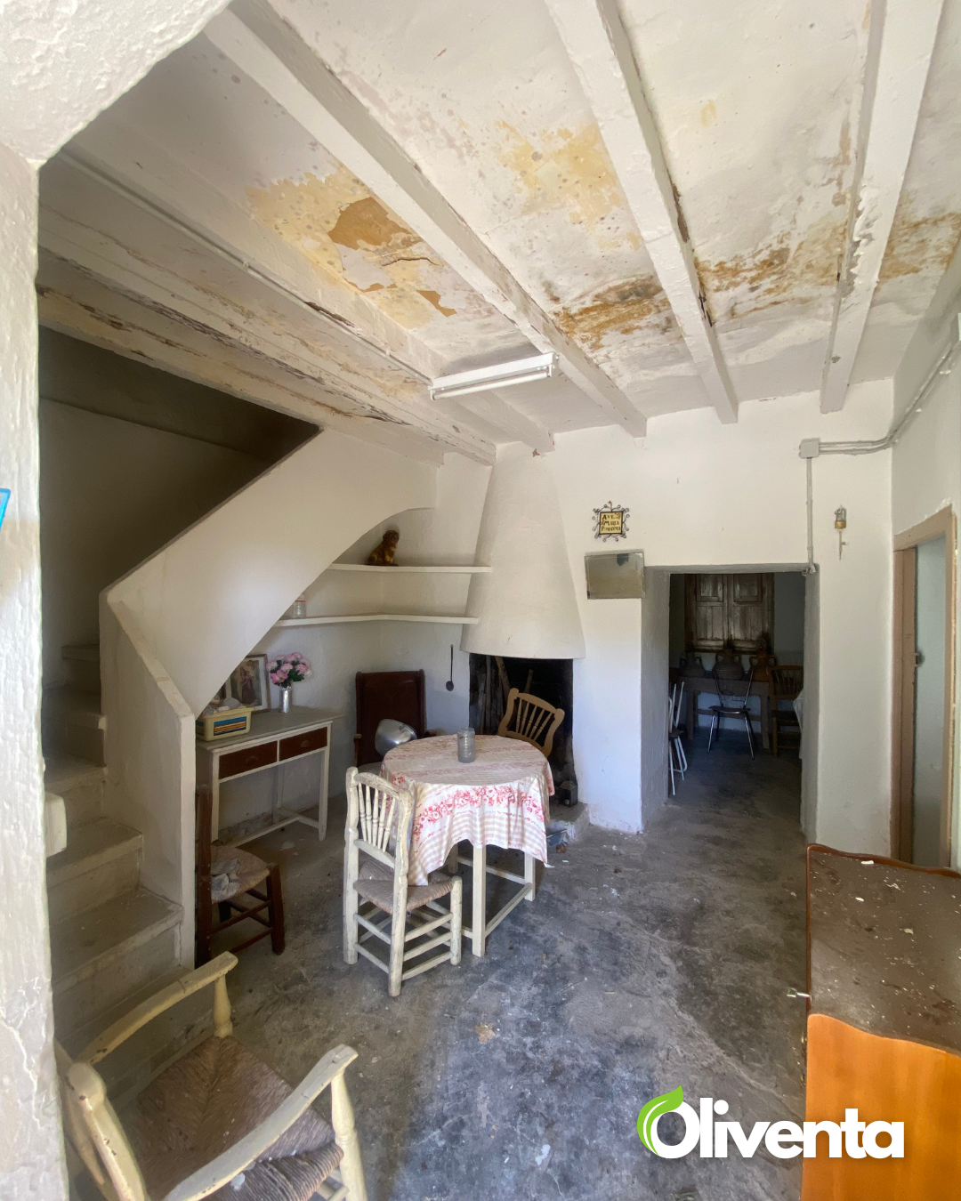 Dos olivares únicos con casa y pozo a 2min de Jaén capital ( Subvención de 2500€ )