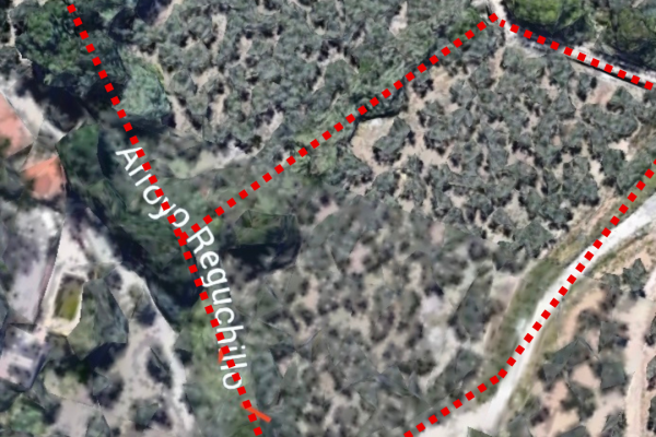 Dos olivares únicos con casa y pozo a 2min de Jaén capit...