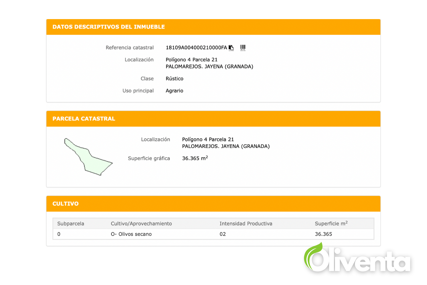 ¡Gran oportunidad, OLIVAR en Jayena (Granada)!