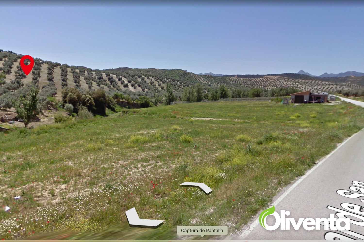 ¡Gran oportunidad, OLIVAR en Jayena (Granada)!