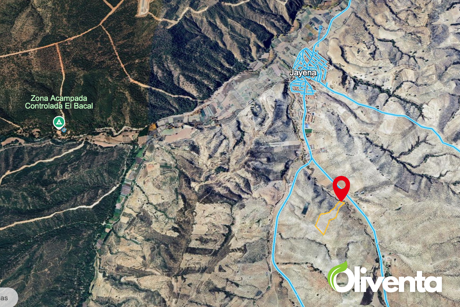 ¡Gran oportunidad, OLIVAR en Jayena (Granada)!