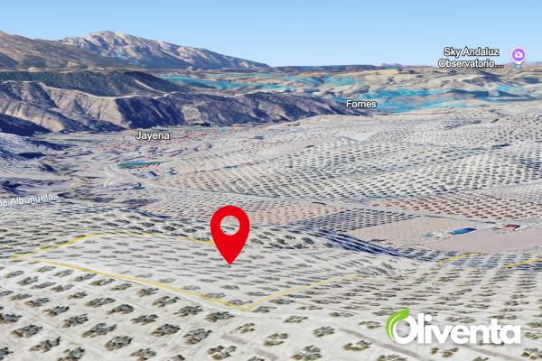 Finca en venta en Jayena