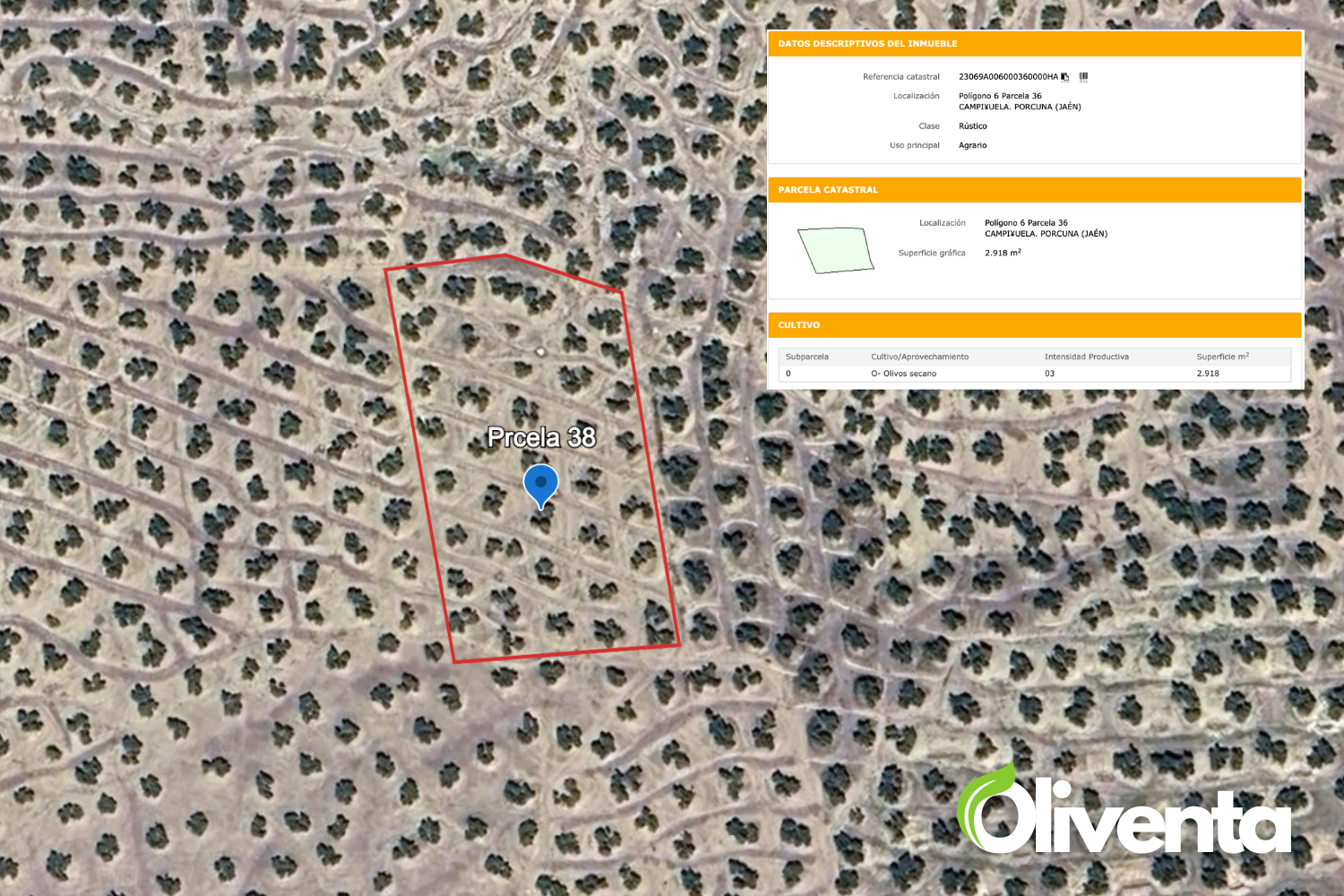 Olivar en Porcuna. Venta de 5  olivares.