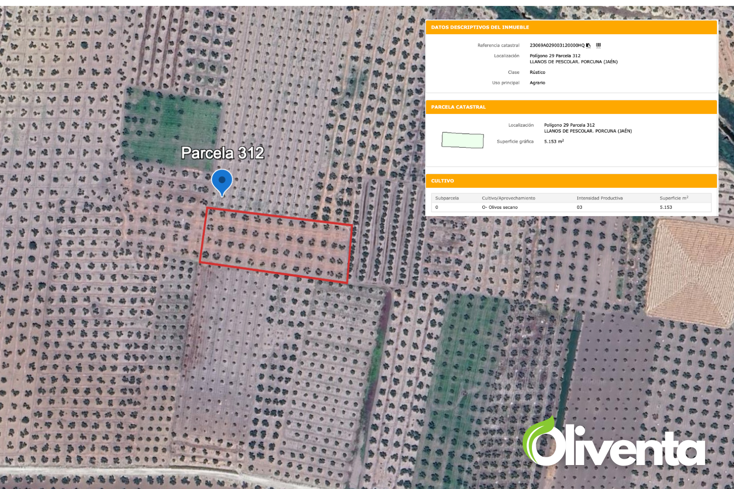 Olivar en Porcuna. Venta de 5  olivares.