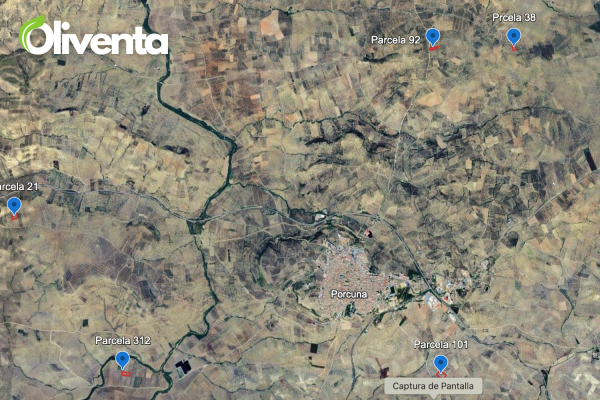 Olivar en Porcuna. Venta de 5  olivares.