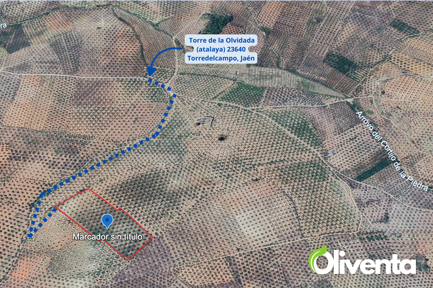 Olivar centenario en venta en Torredelcampo (Jaén) – Zona Garniel- 200 olivos