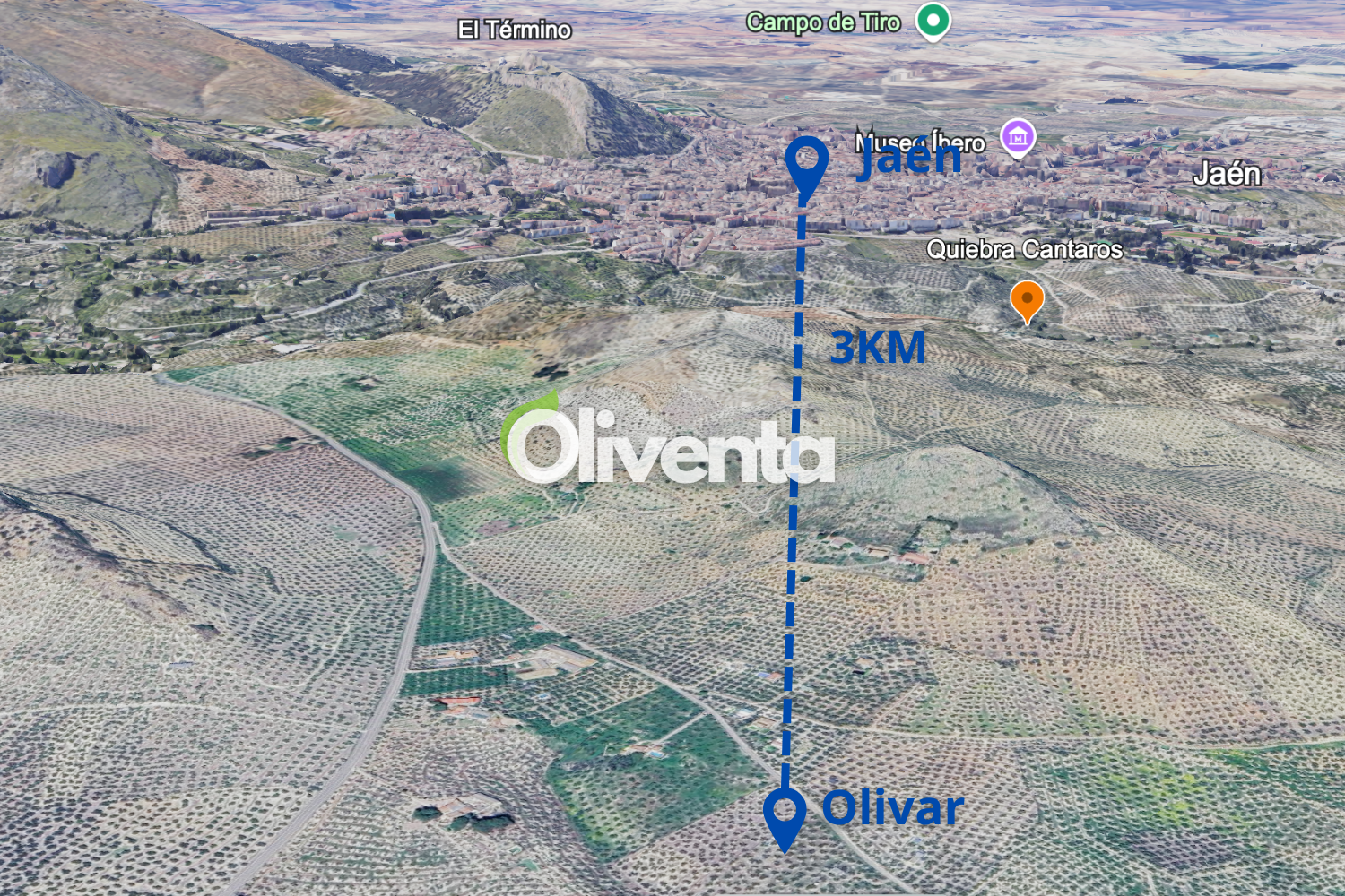 Olivar en Jaén, Puente de la sierra K3, 230 OLIVOS