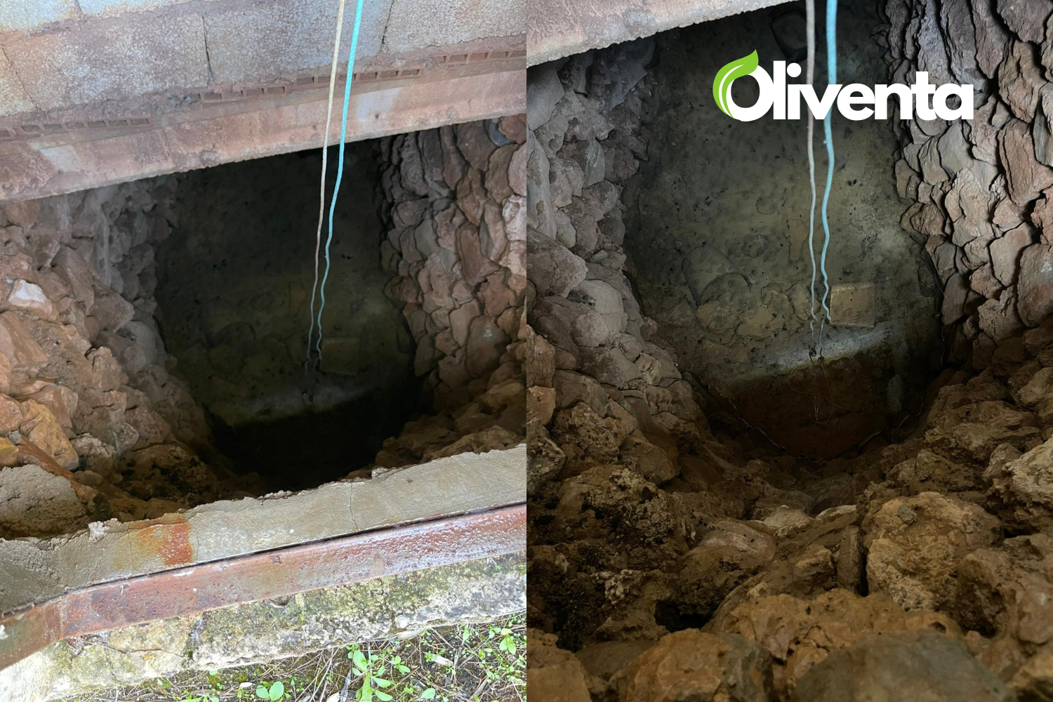 Olivar en Martos, Jaén. 750 olivos