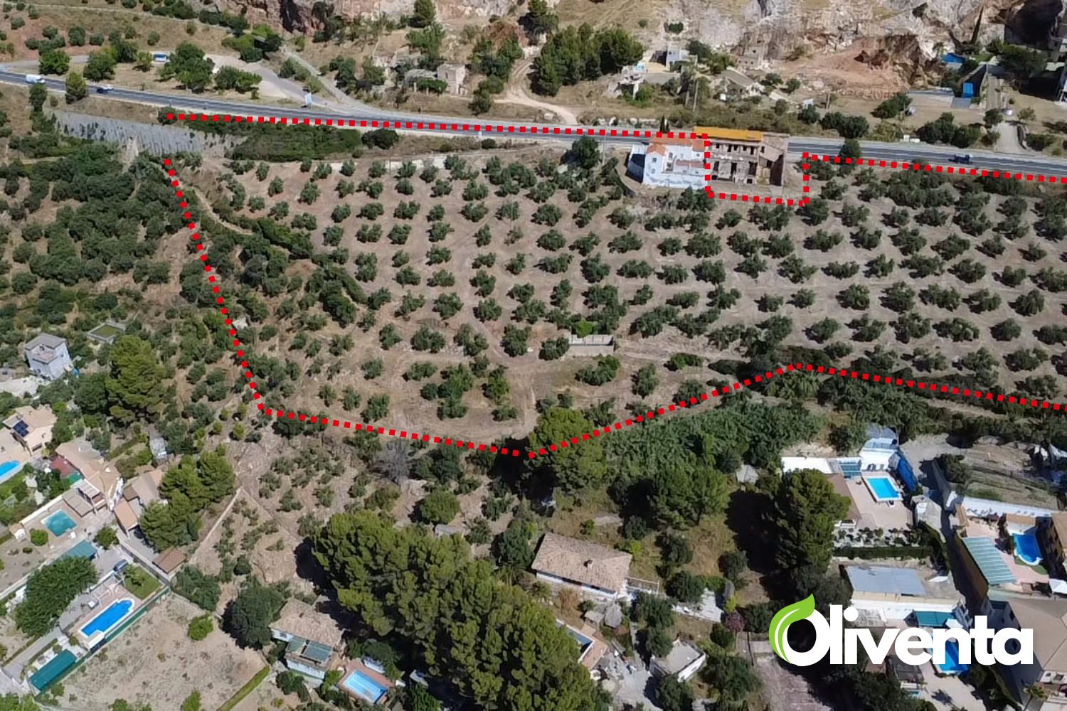 Olivar con Vivienda en Jaén, 1Km de Jaén. 400 Olivos