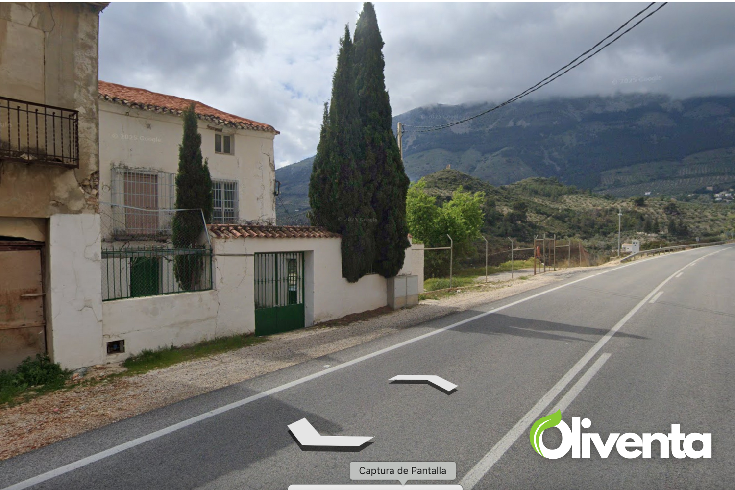 Olivar con Vivienda en Jaén, 1Km de Jaén. 400 Olivos