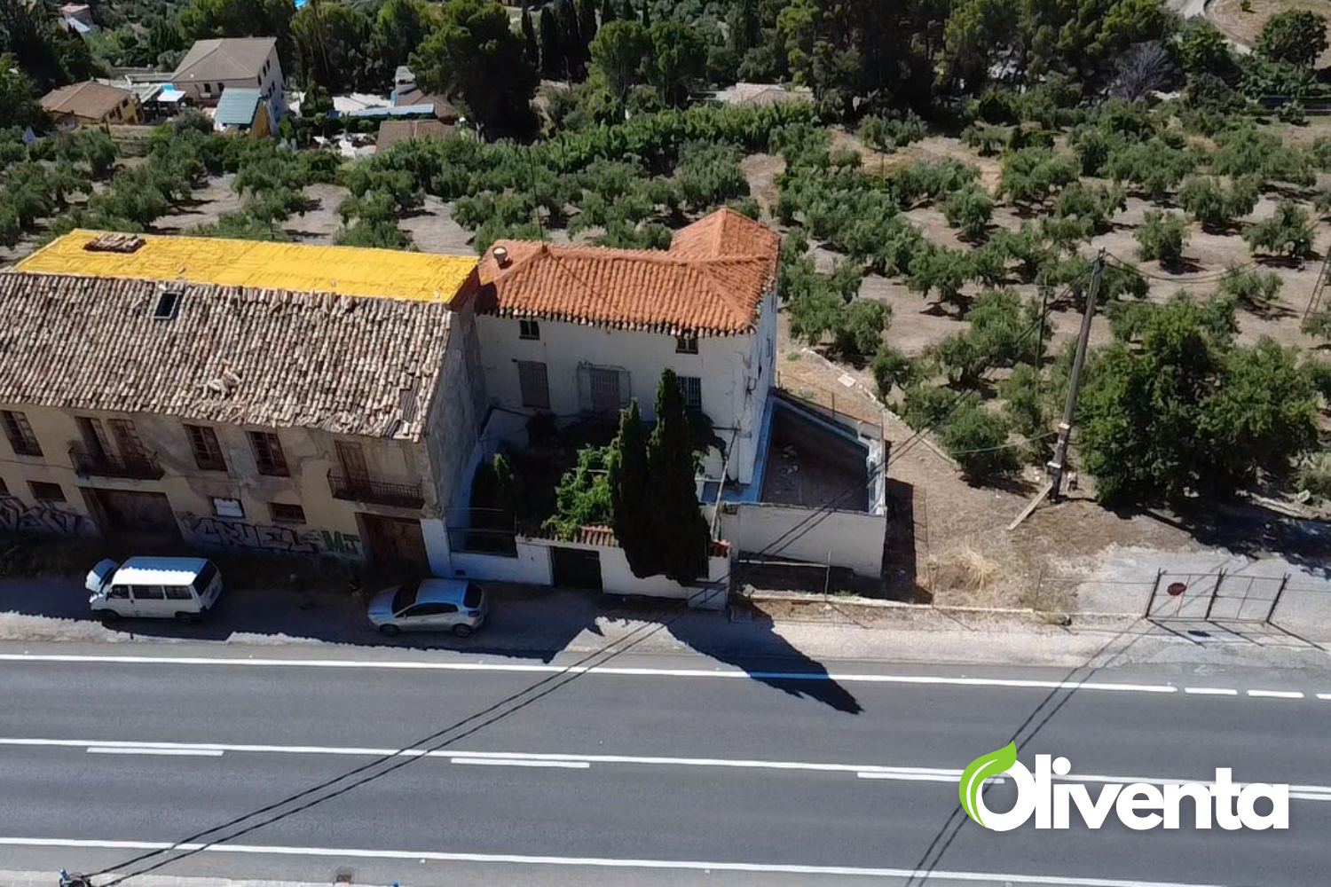 Olivar con Vivienda en Jaén, 1Km de Jaén. 400 Olivos