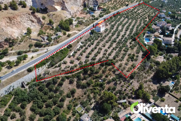Olivar con Vivienda en Jaén, 1Km de Jaén. 400 Olivos